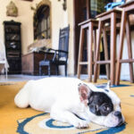 Hostel BH - Hospedagem de qualidade em Belo Horizonte